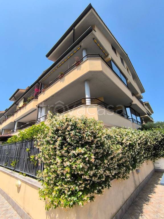 appartamento in affitto a Capena