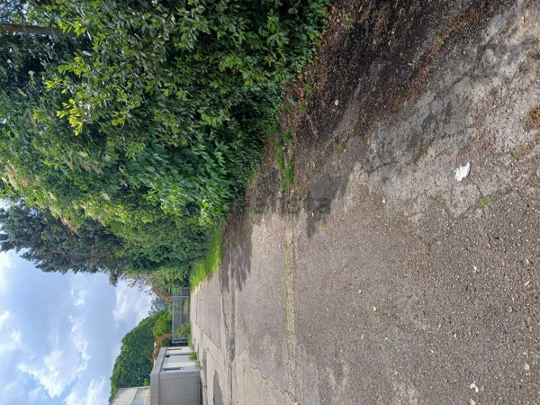 capannone in affitto a Capena