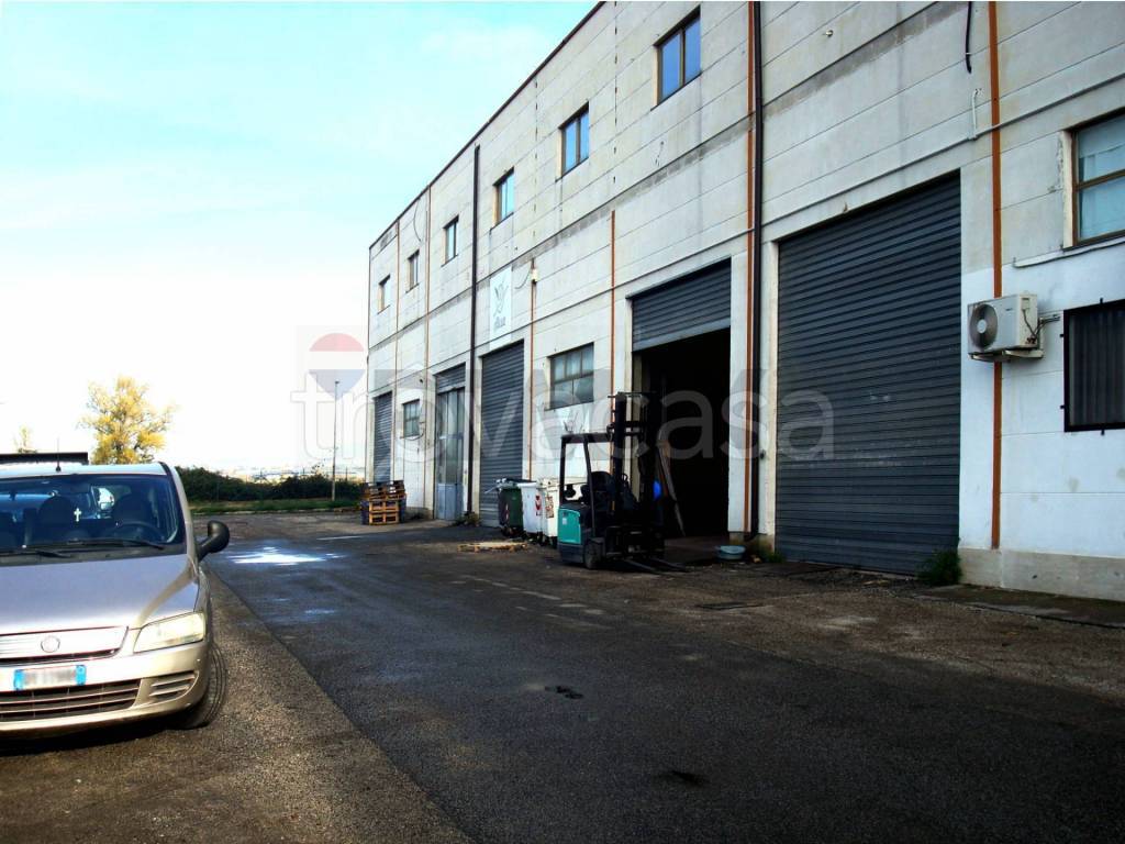 ufficio in affitto a Capena