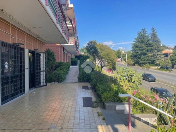 negozio in affitto a Castel Gandolfo in zona Pavona