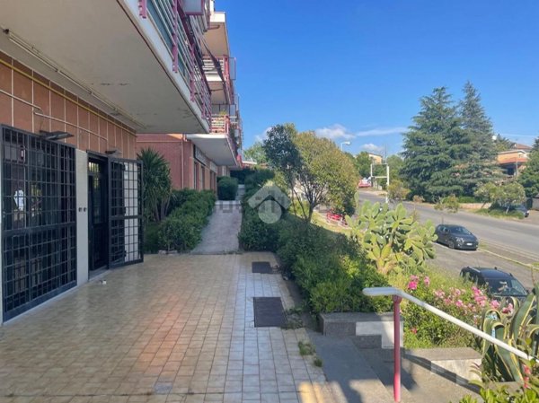 locale commerciale in affitto a Castel Gandolfo in zona Pavona