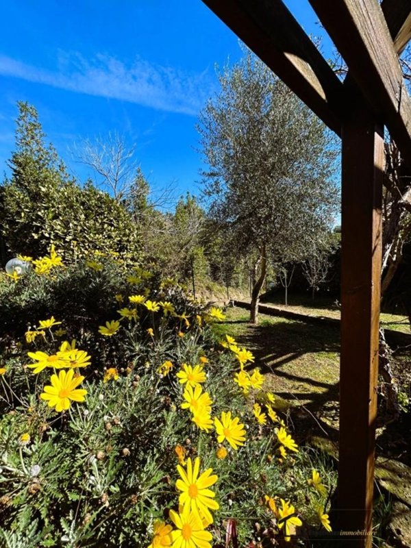 pentavano in affitto a Castelnuovo di Porto