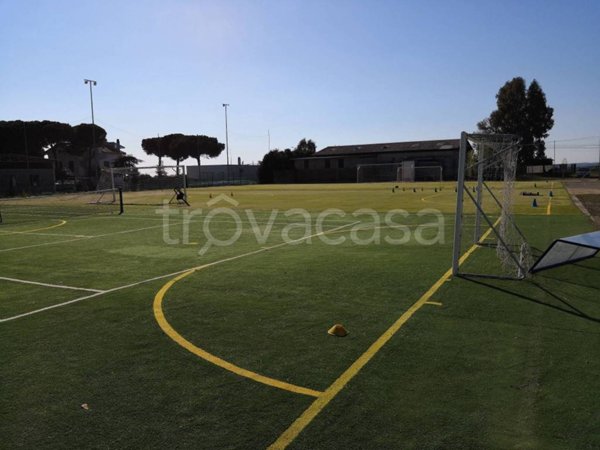 negozio in affitto a Cerveteri in zona Sasso