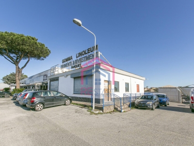 negozio in affitto a Cerveteri