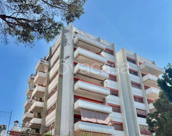 appartamento in affitto a Cerveteri in zona Marina di Cerveteri
