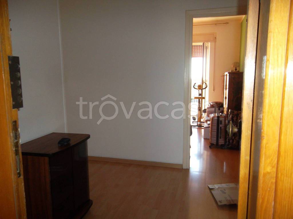 appartamento in affitto a Cerveteri