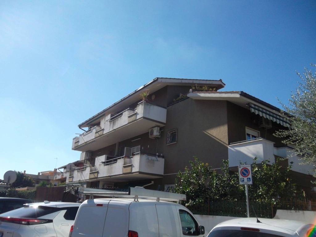 appartamento in affitto a Cerveteri