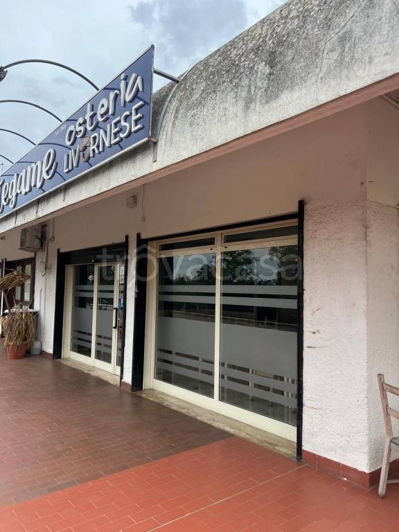 negozio in affitto a Cerveteri in zona Cerenova