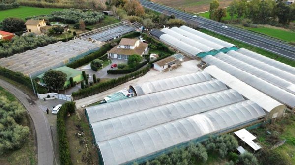 capannone in affitto a Cerveteri