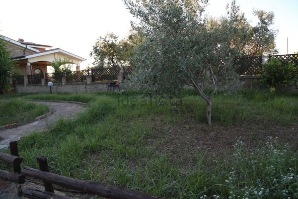 appartamento in affitto a Cerveteri