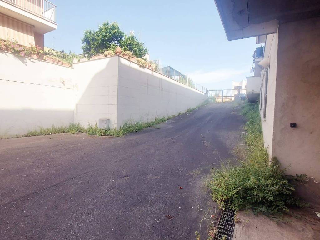 locale commerciale in affitto a Cerveteri