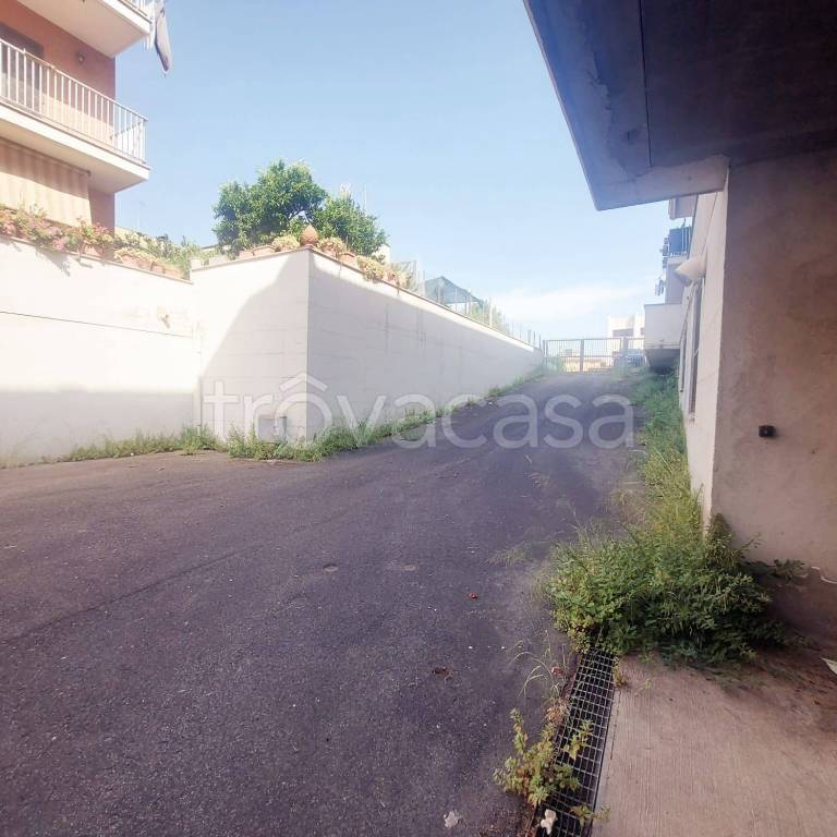 locale commerciale in affitto a Cerveteri