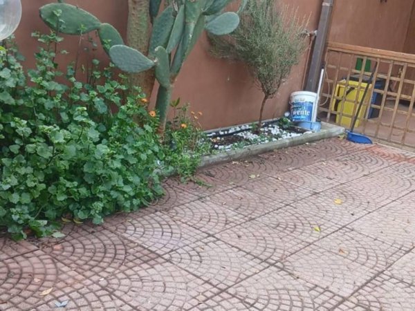 appartamento in affitto a Cerveteri