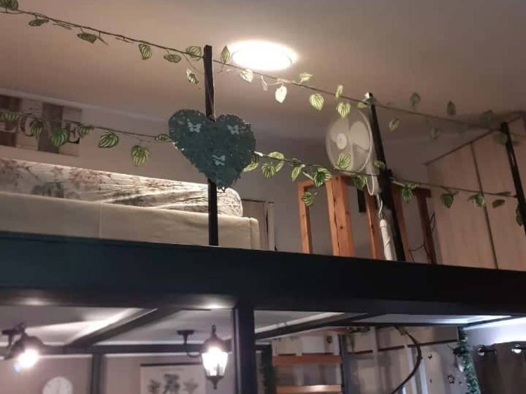 appartamento in affitto a Cerveteri