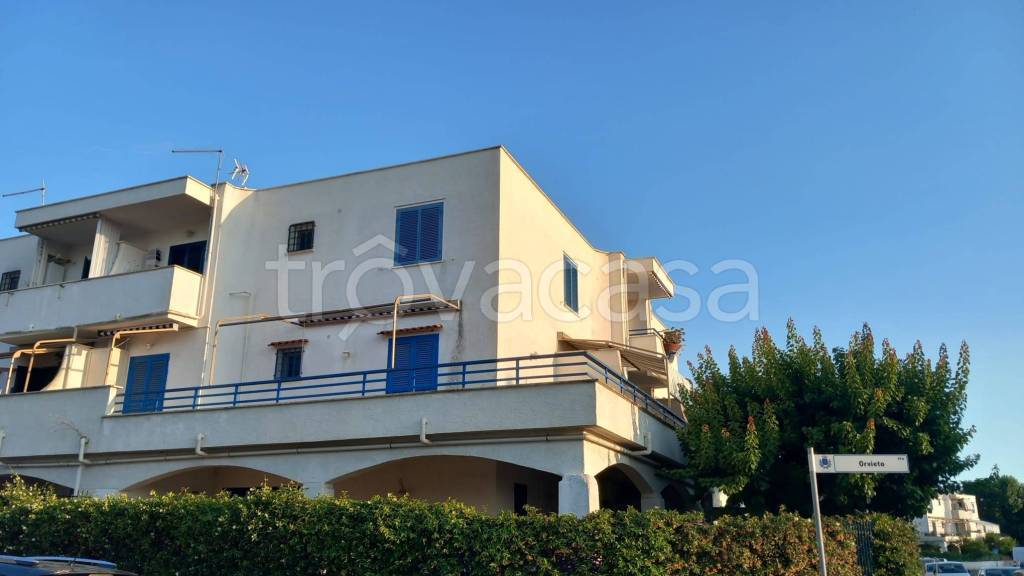 appartamento in affitto a Cerveteri in zona Cerenova