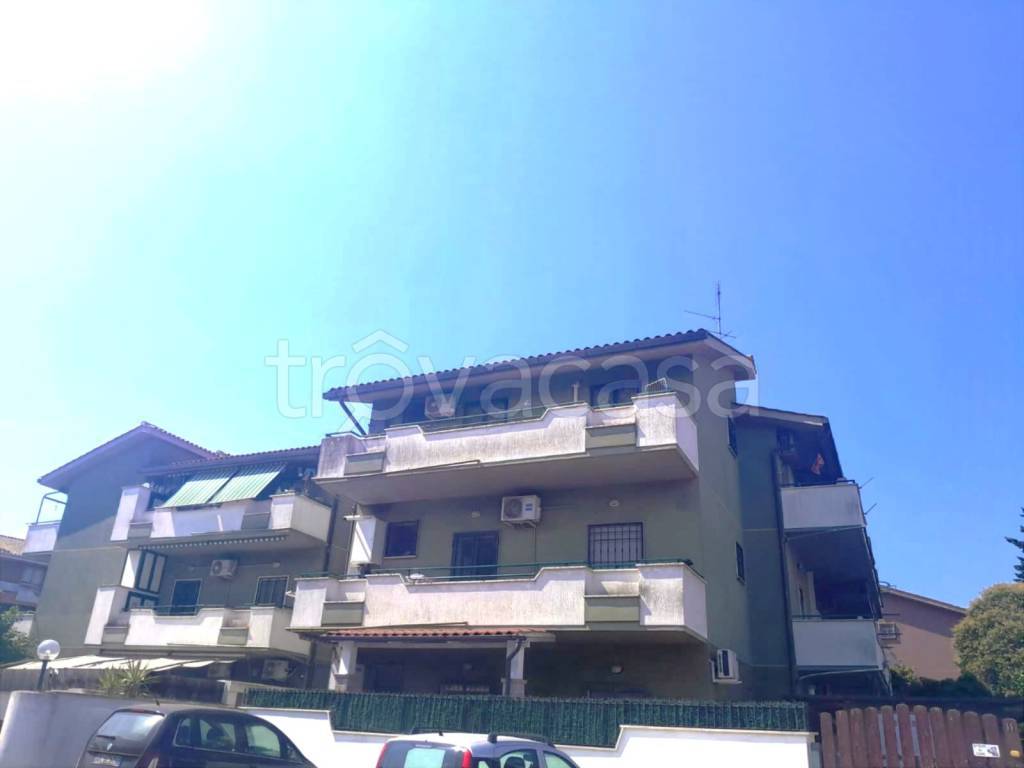 appartamento in affitto a Cerveteri in zona Zambra