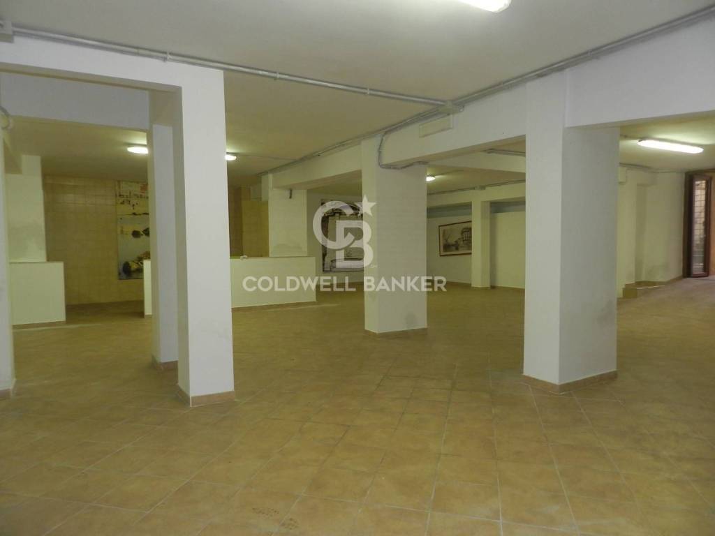 negozio in affitto a Civitavecchia