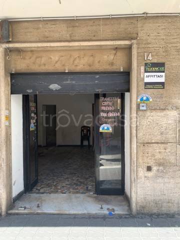 appartamento in affitto a Civitavecchia