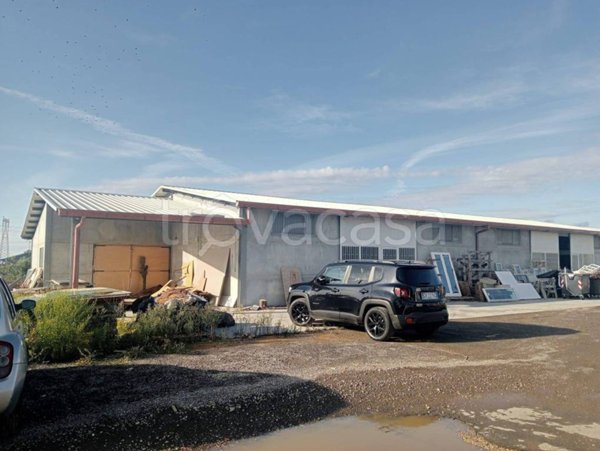 locale commerciale in affitto a Civitavecchia in zona Aurelia