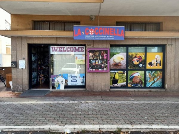 negozio in affitto a Civitavecchia