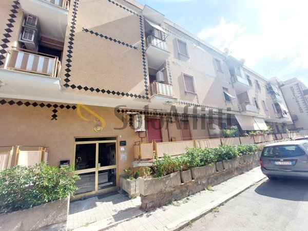appartamento in affitto a Civitavecchia