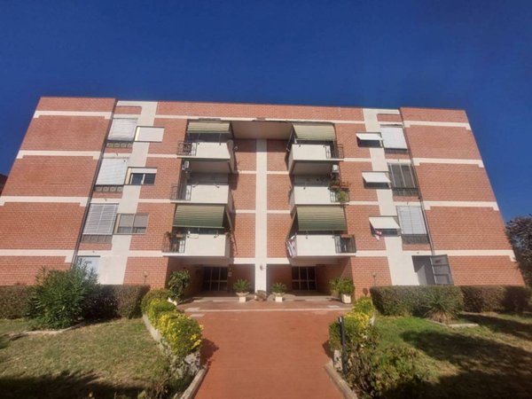 appartamento in affitto a Civitavecchia