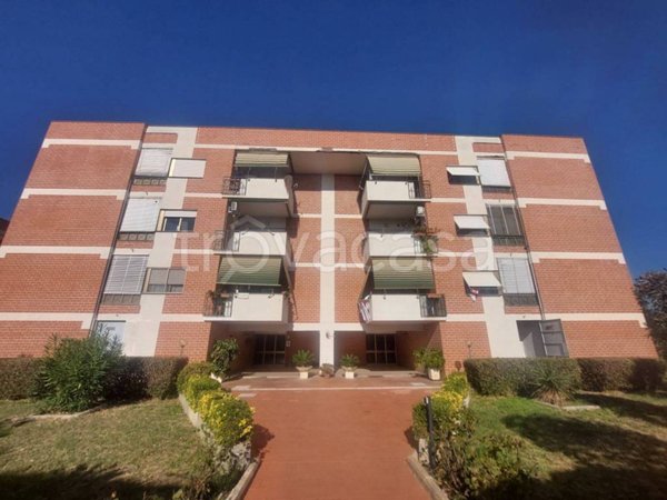 appartamento in affitto a Civitavecchia