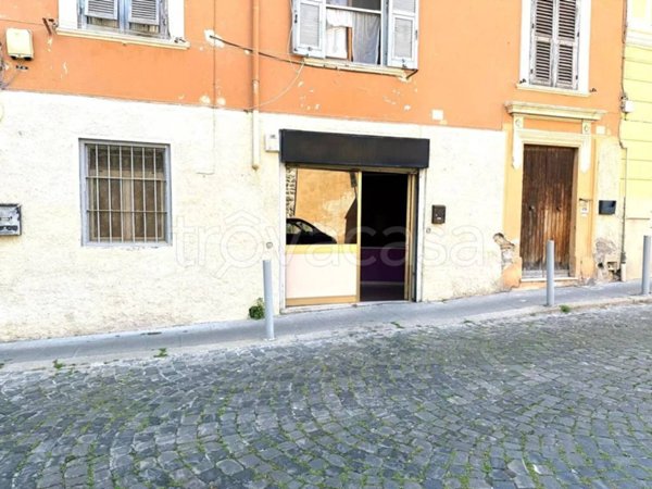 negozio in affitto a Civitavecchia