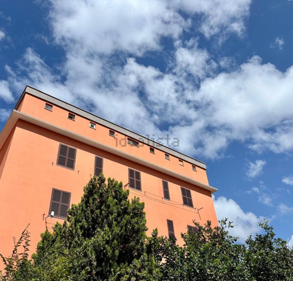 appartamento in affitto a Civitavecchia