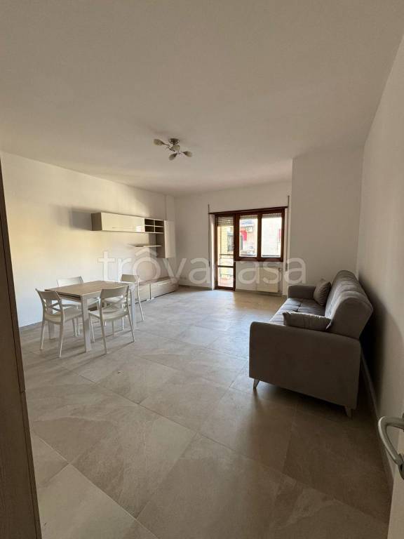 appartamento in affitto a Civitavecchia