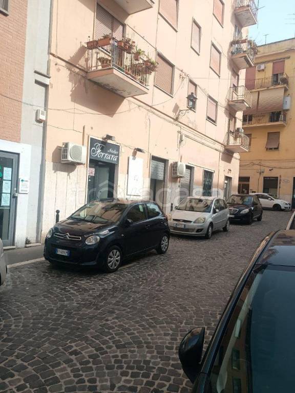 negozio in affitto a Civitavecchia