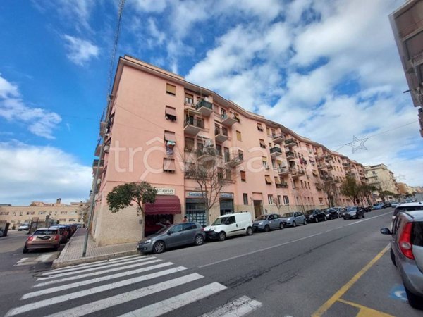 appartamento in affitto a Civitavecchia