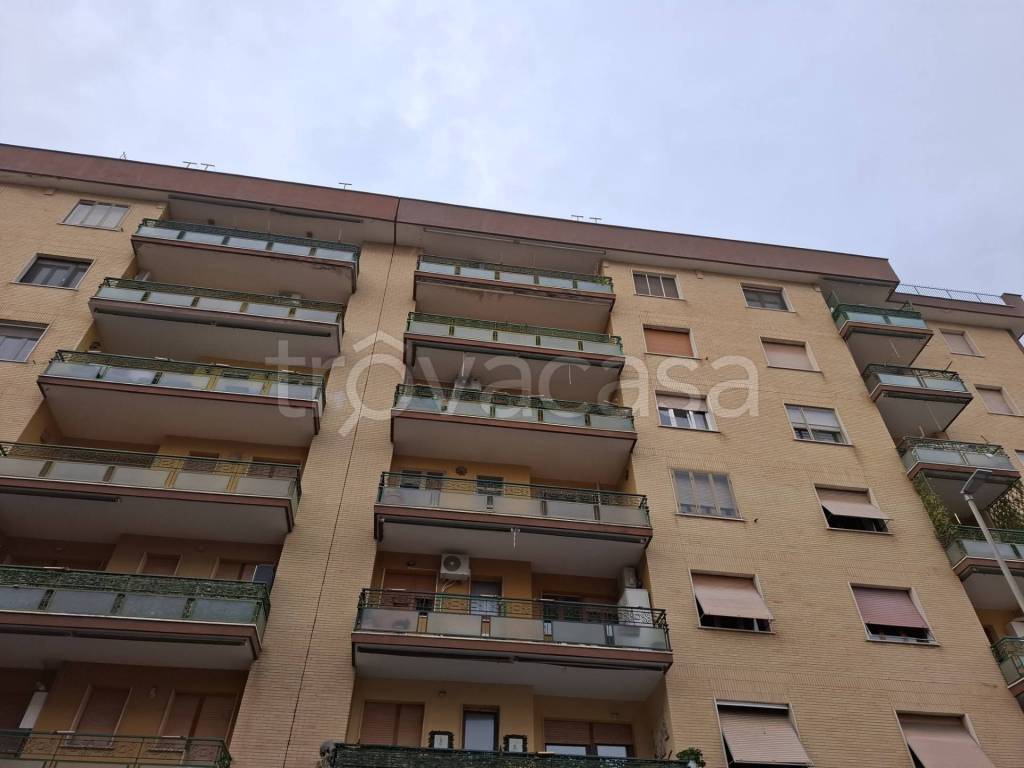 appartamento in affitto a Civitavecchia