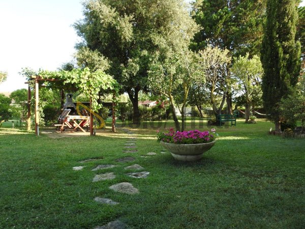 appartamento in affitto a Civitavecchia