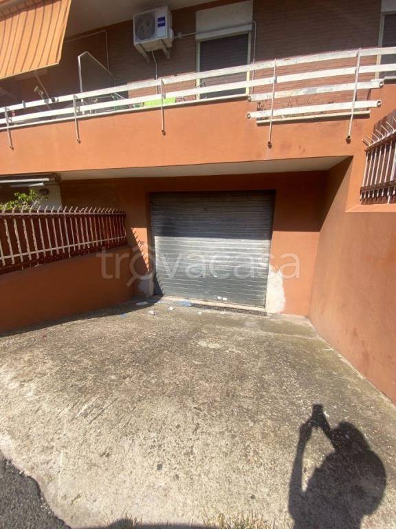 negozio in affitto a Civitavecchia