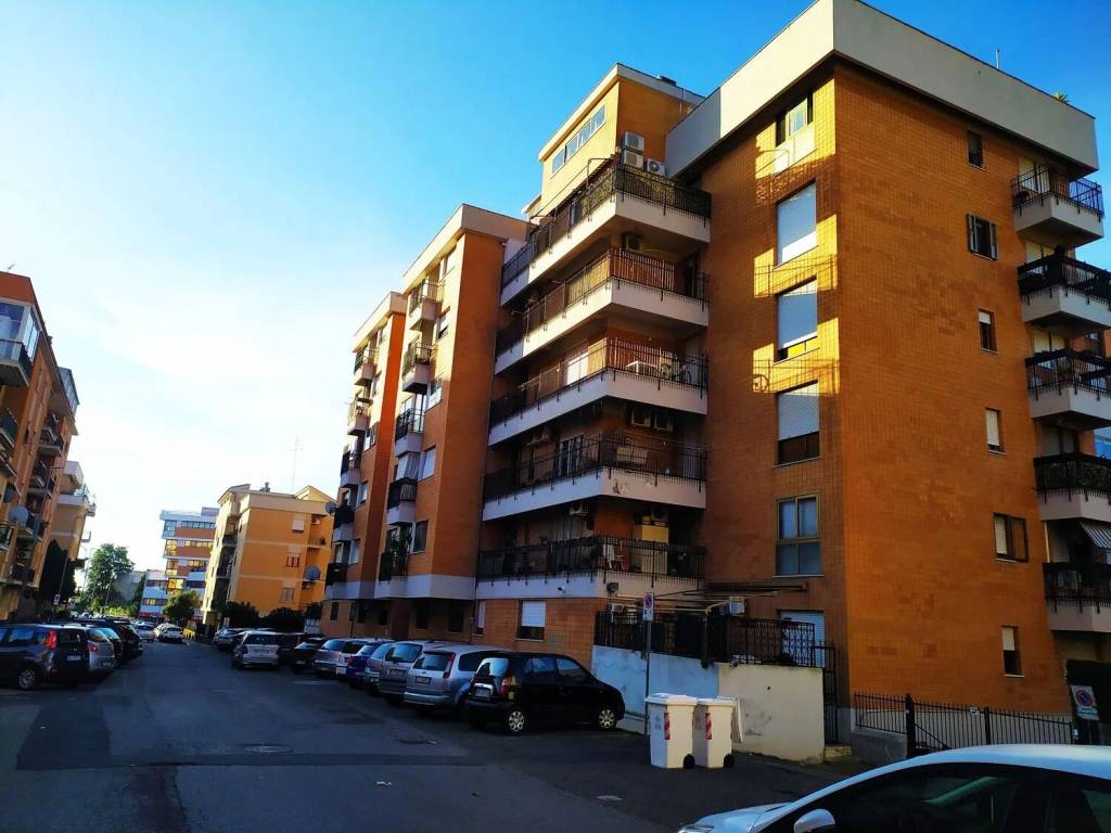 appartamento in affitto a Civitavecchia