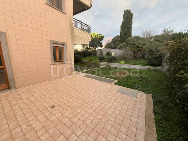 appartamento in affitto a Civitavecchia