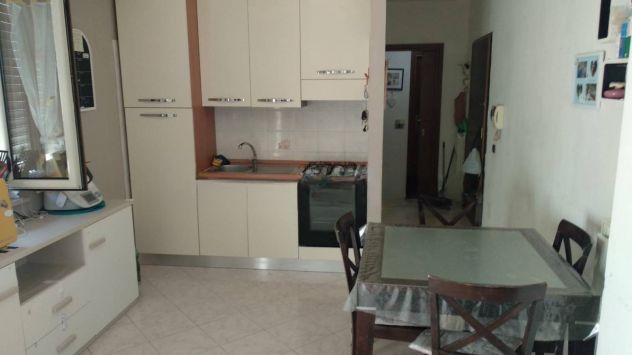 appartamento in affitto a Civitavecchia