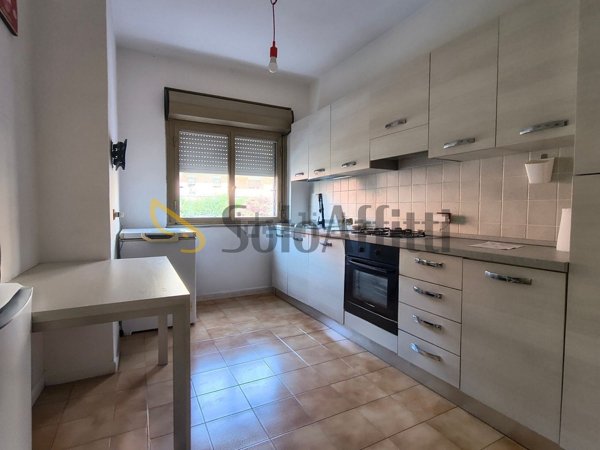 appartamento in affitto a Civitavecchia