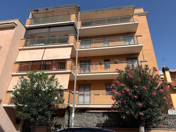 appartamento in affitto a Civitavecchia