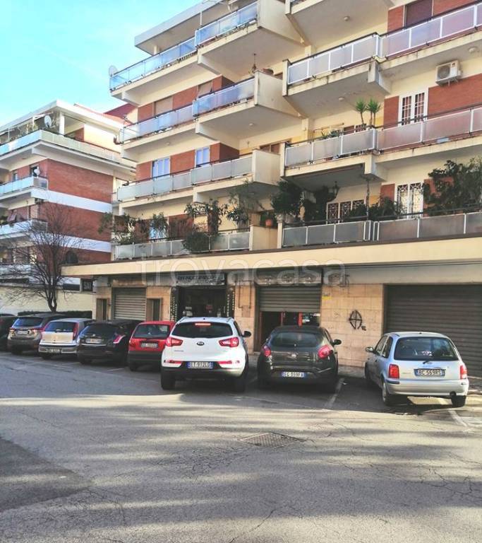 monolocale in affitto a Colleferro