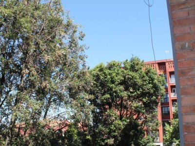 appartamento in affitto a Colleferro
