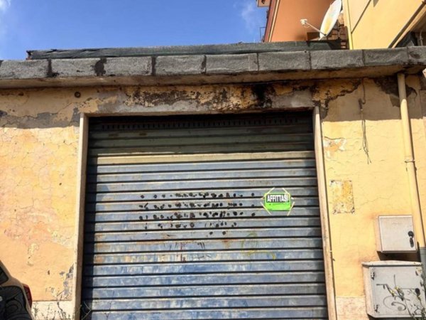 appartamento in affitto a Colleferro