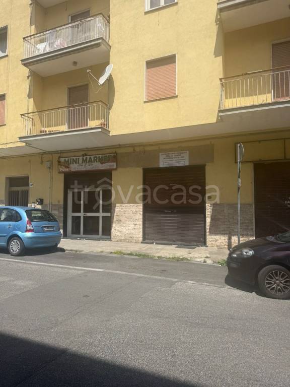 negozio in affitto a Colleferro
