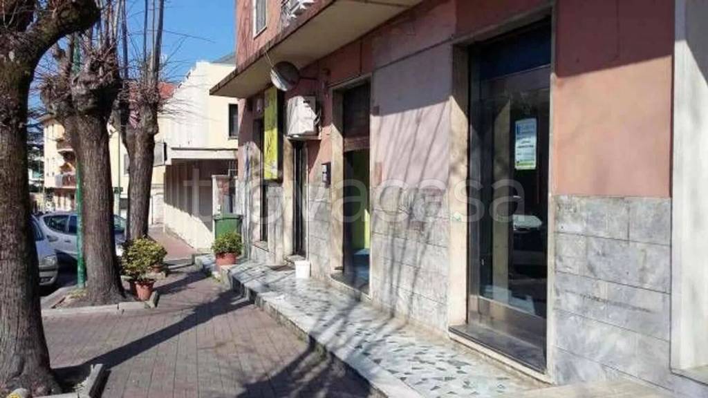 negozio in affitto a Colleferro