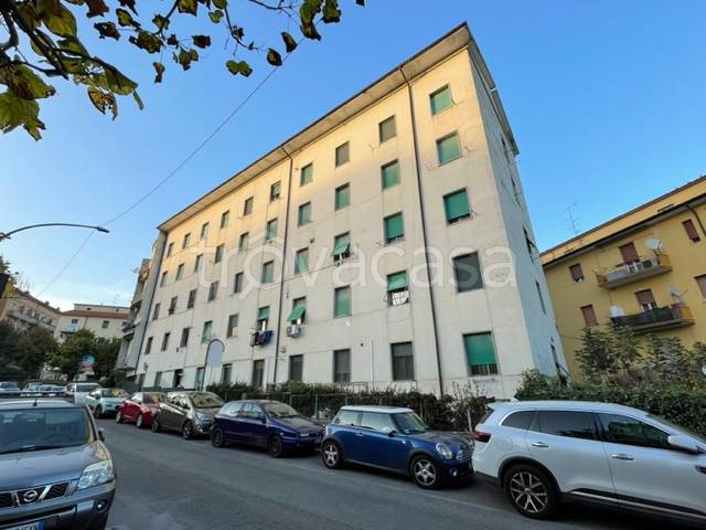 appartamento in affitto a Colleferro