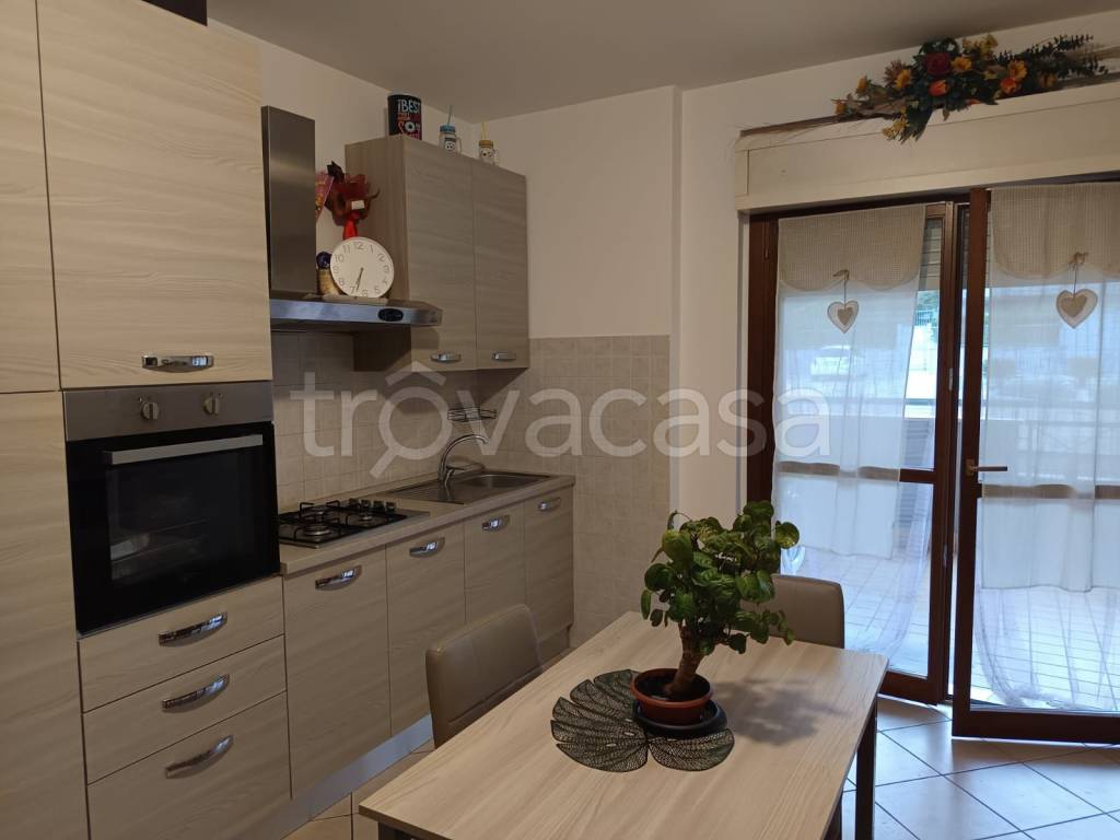 appartamento in affitto a Colleferro