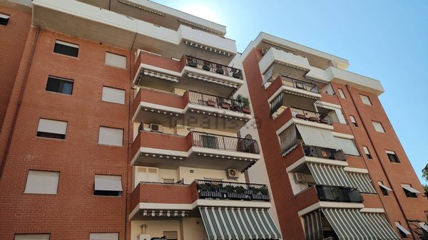appartamento in affitto a Colleferro