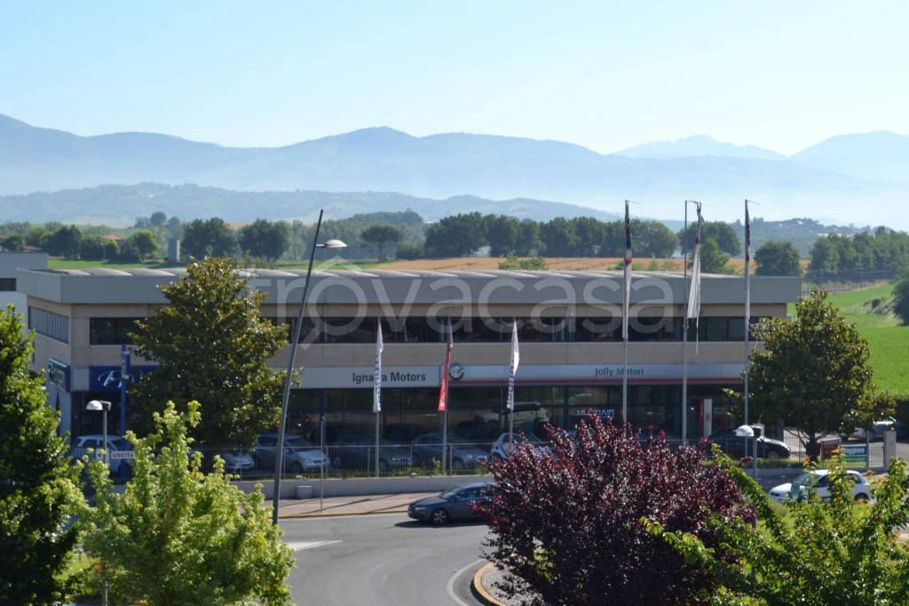 negozio in affitto a Colleferro