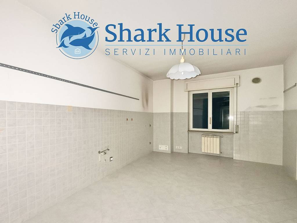 appartamento in affitto a Colleferro